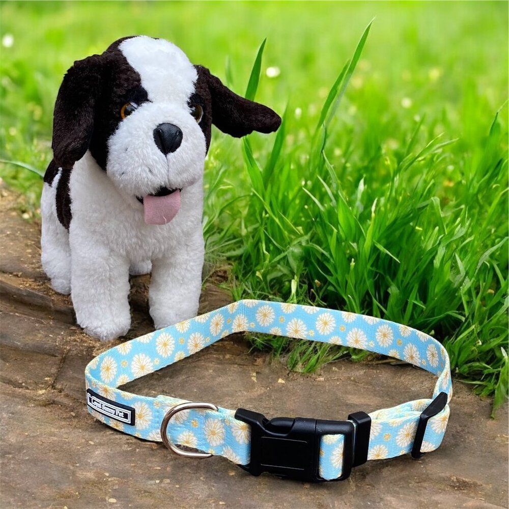 NWOT New Loyal Sunny Pet Dog Collar w/ Buckle Blue/Yellow Flowers M/L
